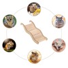 Hamster Toys, Hamster Accessories Hamster Climbing Stairs, Rat Cage Accessories