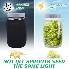 Kikerike Seed Sprouting Jar Kit with 2 Wide Mouth Mason Jars Bean Sprouts Growing Kit Microgreens Growing Jar with Mesh Screen Lids Sprouter Sprouts Maker for Growing Broccoli, Alfalfa, Mung Bean