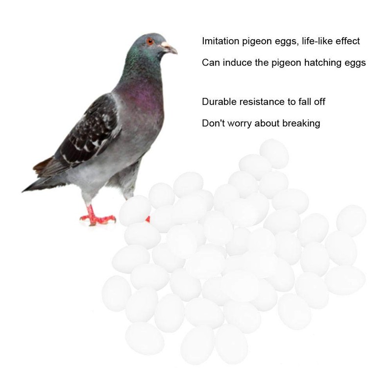 Cikonielf 50 Pieces Pigeon Eggs Solid Plastic Eggs Dummy Eggs