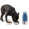 Dog Water Bottle (Adirondack Green, 32 oz.)