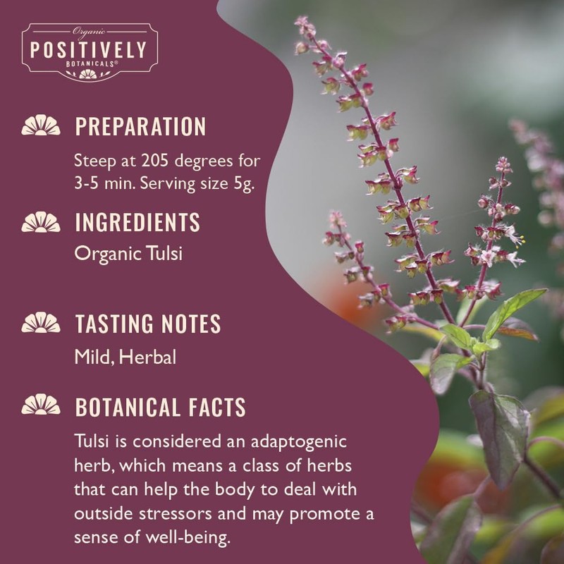 Organic Positively Botanicals Company, Tulsi, K-Cup Compatible, 24 Pods