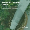 Isntree, Mugwort Calming Cream 50ml 50ml