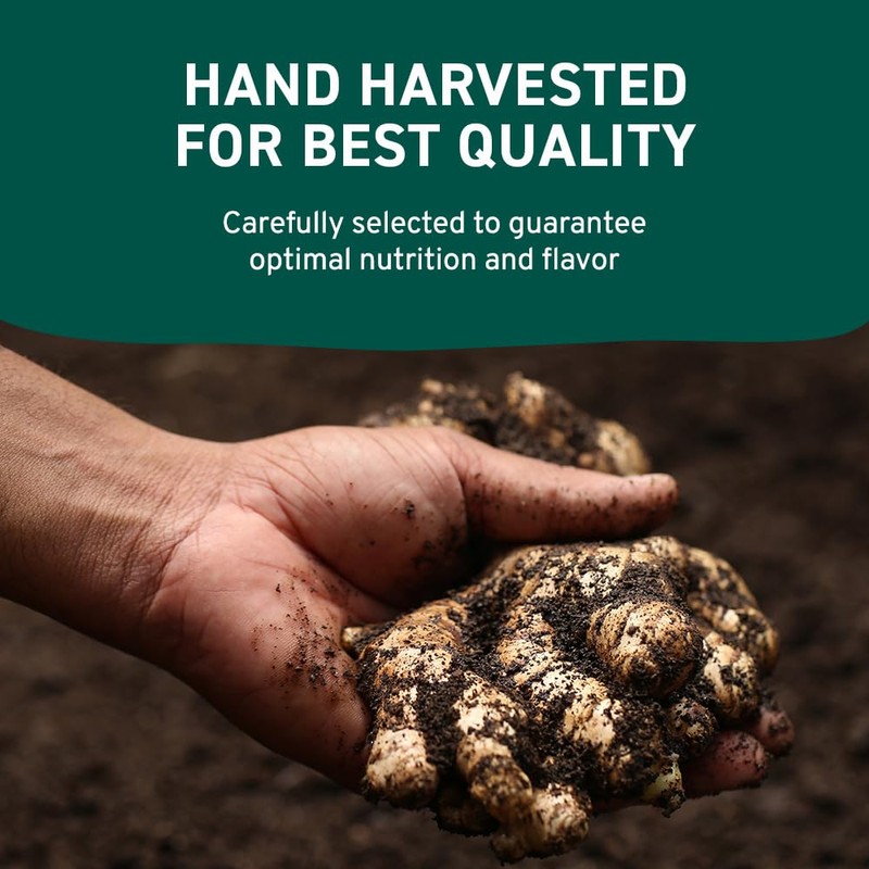 HANDPICK Ginger Powder (14oz/397g) No Additives, No Preservatives, No Fillers