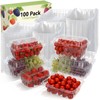 Qinyoung 100 Pack Berry Containers 1 Pound Plastic Fruit Containers