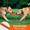 AUSCAT Carrot Dog Rope Toy, Durable Tug of War Toy