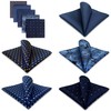 SHLAX&WING 5 Pieces Assorted Mens Silk Pocket Square Handkerchiefs Set