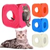 Pet Living Pop Up Cat Kitten Play Cube Fun Strong