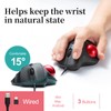 SANWA Wired Ergonomic Trackball Mouse, Optical Vertical Rollerball Mice, Silent