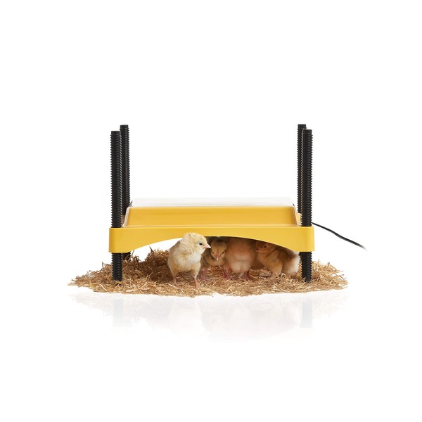 Brinsea Ecoglow Safety 600 Chick or Duckling Brooder, Adjustable Height