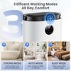 Dehumidifier for Home, 68 OZ Water Tank Dehumidifiers for Bathroom,