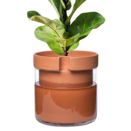 Phoenix Vine 10 Inch Self Watering Planter Pot, Terracotta Clay Pot with Glass Reservoir for Indoor Plants, Herbs, Flowers, Set of 1, 52-A-I-1
