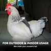 Hen Holster Bikini Diaper, Bird Diaper & Harness for Hens,