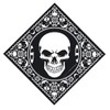 Flexfit Baseball Cap in Bundle with UD Skull Bandana in
