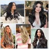 ALXNAN Long Wavy Hair Extensions for Women, Clip in Hair