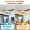 BZX Waterproof Outdoor Ceiling-Fan with Light - 42" Modern Ceiling