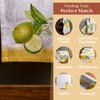 Maison d'Hermine 100% Cotton 1-Piece Kitchen Apron with Adjustable Neck