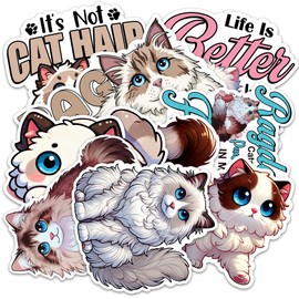 Ragdoll Cat Sticker 8 Pcs (Large Size) Vinyl Stickers Laptop Waterproof Decal for Car Bumper Water Bottle Laptop Notebook Window Funny Party Birthday Decorations - Size 4 Inches