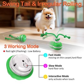 Interactive Dog Toys Rolling Ball for Puppy,Peppy Pet Ball for Dogs,