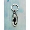 FlyingBean KeyChain With Real Black Scorpion Insect Specimens, Animal Taxidermy