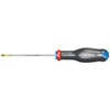 Facom ATD2X100 screwdriver