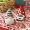 2 Pcs Christmas Gnome Cute Salt and Pepper Shakers Set,