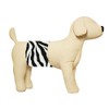 Cuddle Bands Premium Belly Band for Male Dog Incontinence and