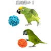 Lubonarie Munche Balls Bird Toys Toy Parakeet Toy Cockatiel Buddy