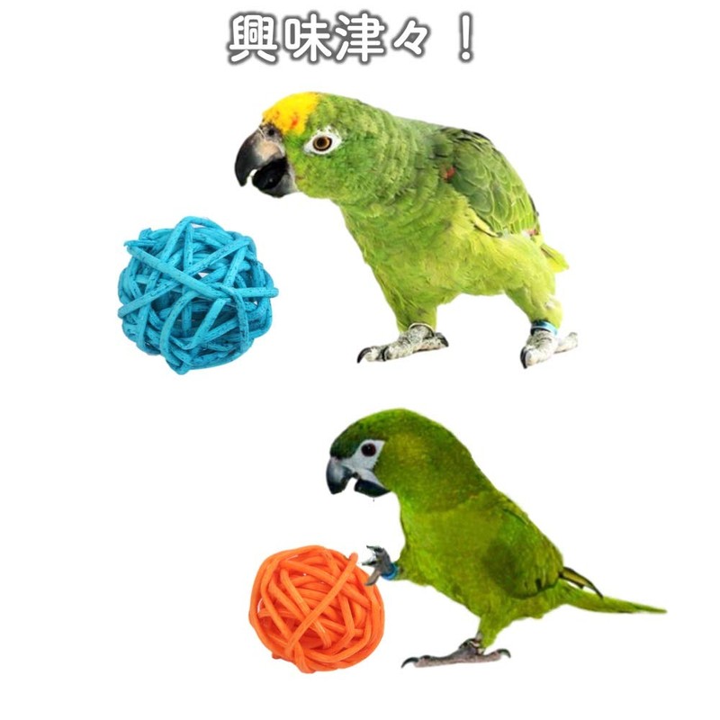 Lubonarie Munche Balls Bird Toys Toy Parakeet Toy Cockatiel Buddy