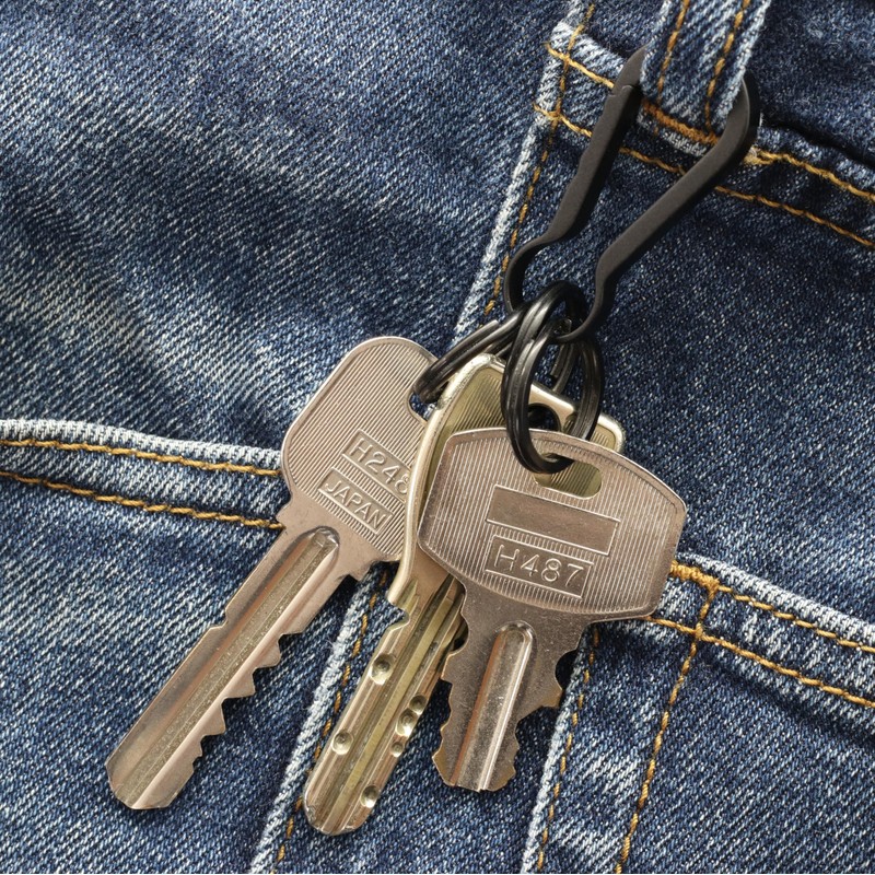 TUNUKE Titanium Carabiner Small Key Chain Keyring Ring Lightweight Mini,