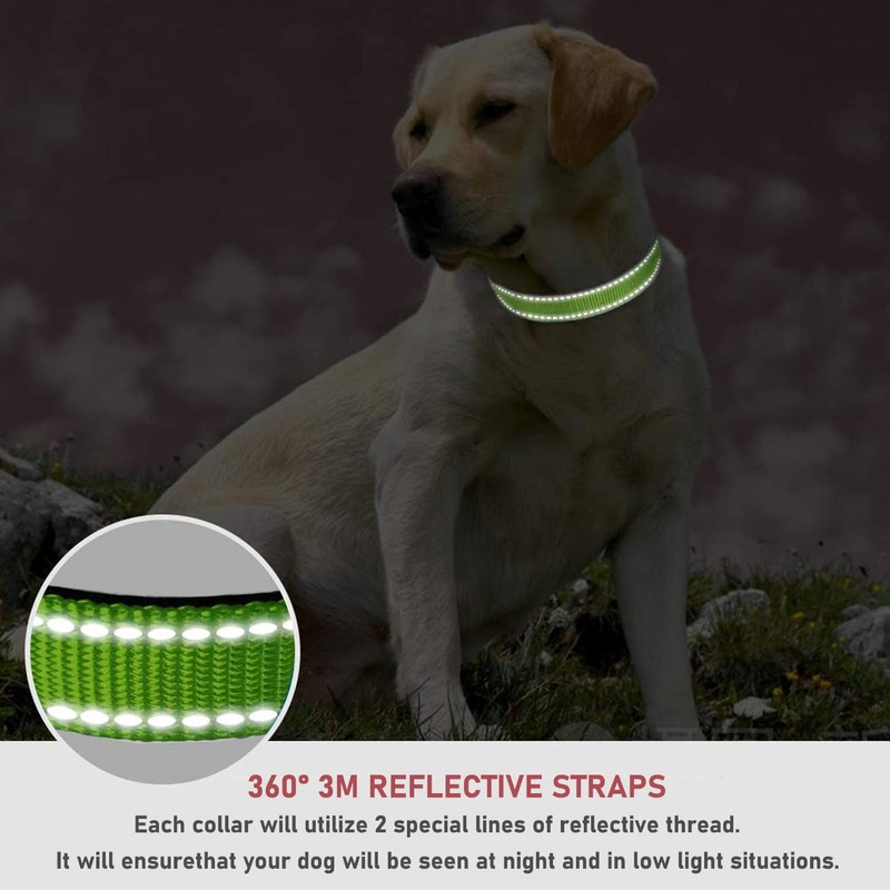 Reflective Dog Collar with Buckle Adjustable Safety Nylon Collars for