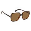 Polaroid Women's Sunglasses, Havana