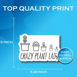 Crazy Plant Lady Sticker - Simple Minimalist Plant Hobby Plantok Line Font Sticker-Premium Quality Vinyl Bumper Stickers 2-Pack | 5-Inch on Widest Side | Made in USA - FHJ770