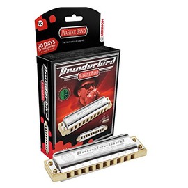 HOHNER M2011BX Thunderbird Harmonica, Double Low F, Stainless steel (M2011BXL-LF)