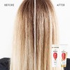 Pantene PRO-V Radiant Color Shine Shampoo, 12.0oz