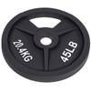 Signature Fitness Cast Iron Plate Weight Plate for Strength Training