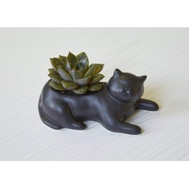 Cosmo The Black Cat Planter - PL14 - Kikkerland