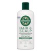 DermaVeen Buy Dermaveen Oatmeal Shampoo 500ml Online