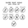 Maine Root Hand Crafted Lemon Lime Soda, 12 fl oz