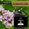 Naturevibe Botanicals Karanja Oil 32 Ounces | 100% Pure and