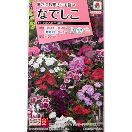 Takii Seedling Nadeshiko F1 Telstar Mixed