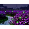 Wskvlcg Outdoor Solar Powered Firefly Lights Bugs with 9 Bee,