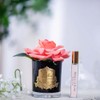 Cote Noire-Perfumed Natural Touch Single Rose in Black and White