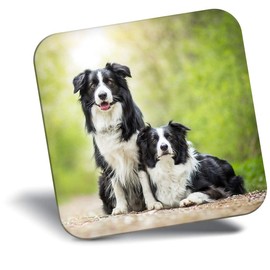 Destination Vinyl ltd Fridge Magnet - Border Collie Couple Cute Animals Dogs 8626