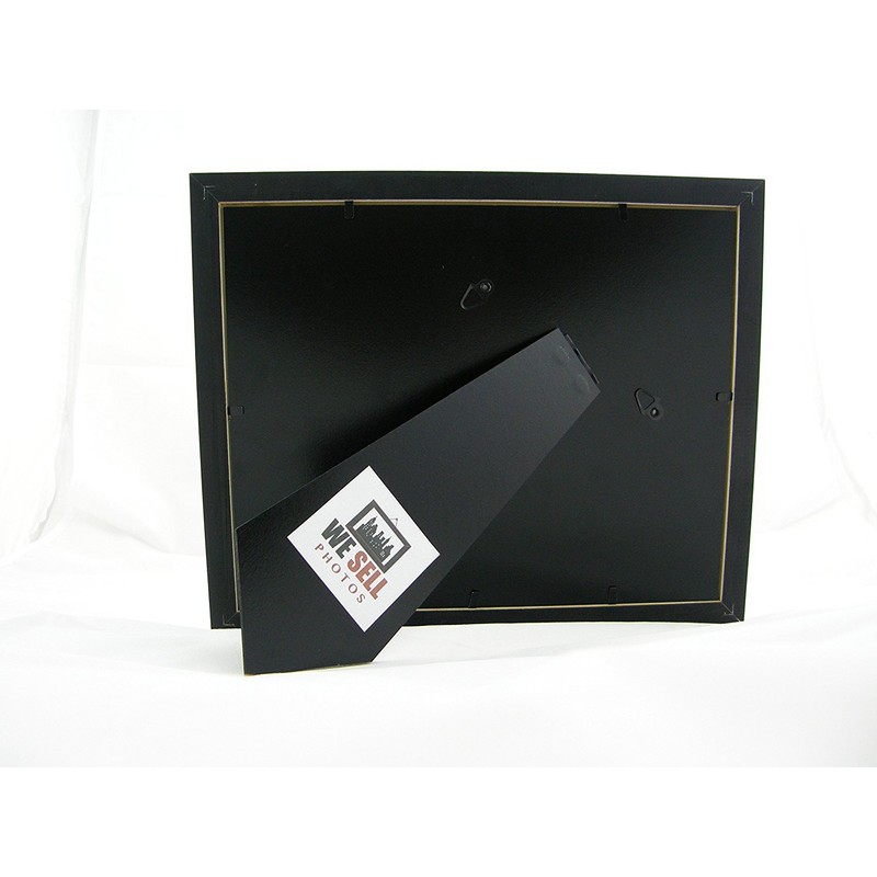 wesellphotos Dalai Lama 8x10 Framed Photo