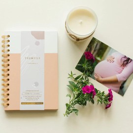 Promptly Journals, My Postpartum Journal: A Year of Self-Care (Country Peach, Pink, Leatherette) | Postpartum Recovery Journal | Mental Health Journal for Moms | Gifts for New Moms