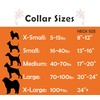 Beach Essintals Designer Dog Collar - Luxury Nautical Pet Necklace
