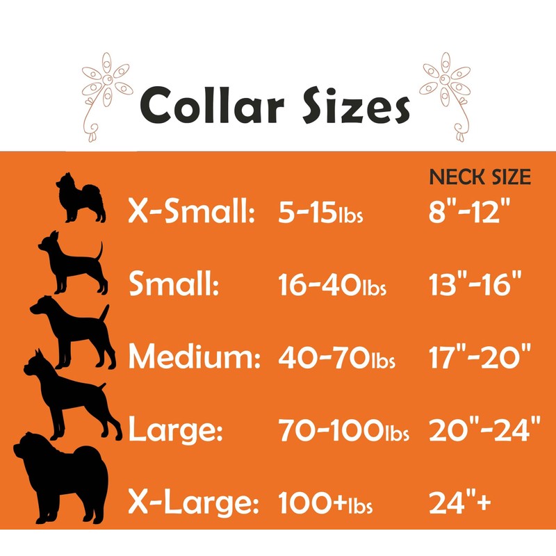 Beach Essintals Designer Dog Collar - Luxury Nautical Pet Necklace