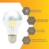 Diodesy- Half Chrome Dimmable LED Light Bulb A19 Round Shape