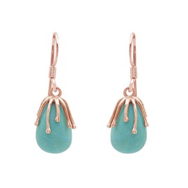 Waterdrop Dangle Earrings for Women Natural Gemstone Turquoise Hook Earrings Bohemian Ethnic Retro Jewelry Gift for Women Rose Gold Plated