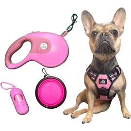 Funny Fur Grace Pink Dog Set: Harness, 16ft Leash, Pup Bag, Bowl - Ideal for Medium Dogs - Tangle-Free, Reflective Anti-Slip Handle - Adjustable, Escape-Proof Varying Pink Shades #funnyfurgrace